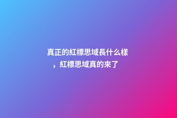 真正的紅標思域長什么樣，紅標思域真的來了